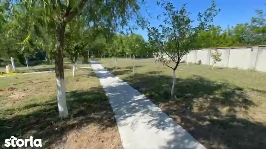 Casa deosebita S+P+E, 440 mp utili, 5000 mp teren, Malu Mare - 3