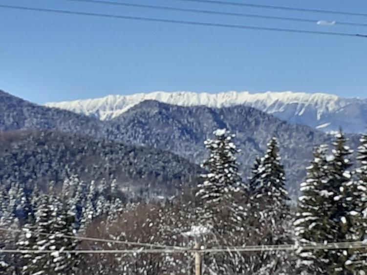 Teren construibil pe munte PUZ, ridicare TOPO, studiu Geo,, apa gaz, curent - 5