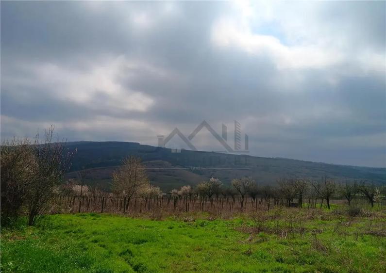 Aroneanu - Dorobant TEREN 46000mp PUZ realizat 59 de case la - 1