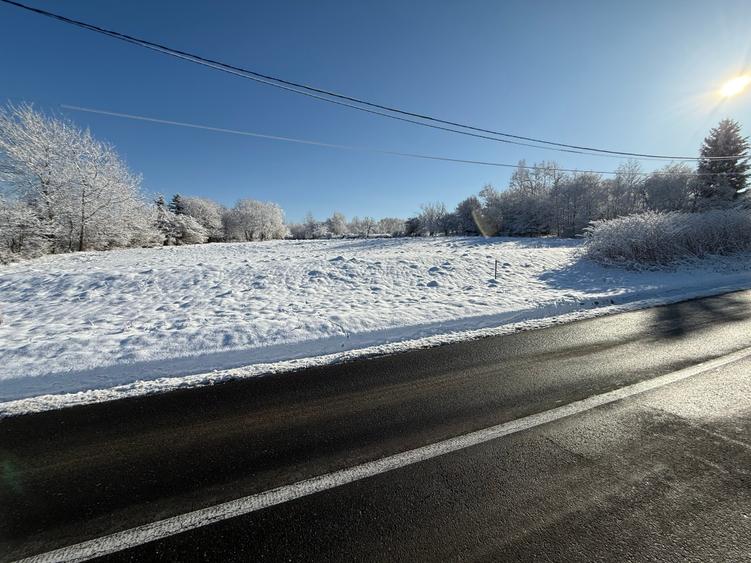 Teren intravilan 500 sau 1000 mp Bran-Tohanita la dum asfaltat - 21