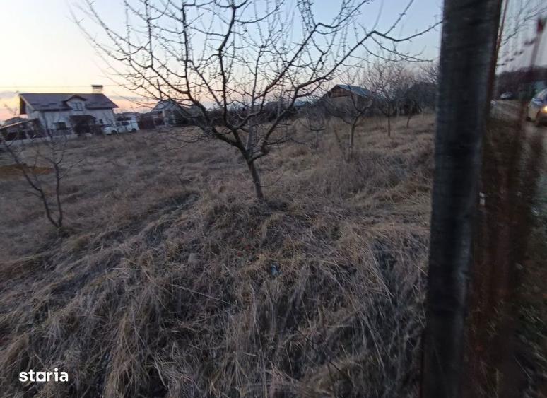 Teren intravilan Miroslava , 600 metri Cod:161312 - 2