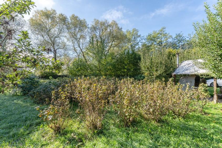 Proprietate rara in Covasna - liniste, spatiu si potential de investitie - 28