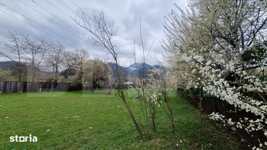 Teren de 4300 mp, în Baciu