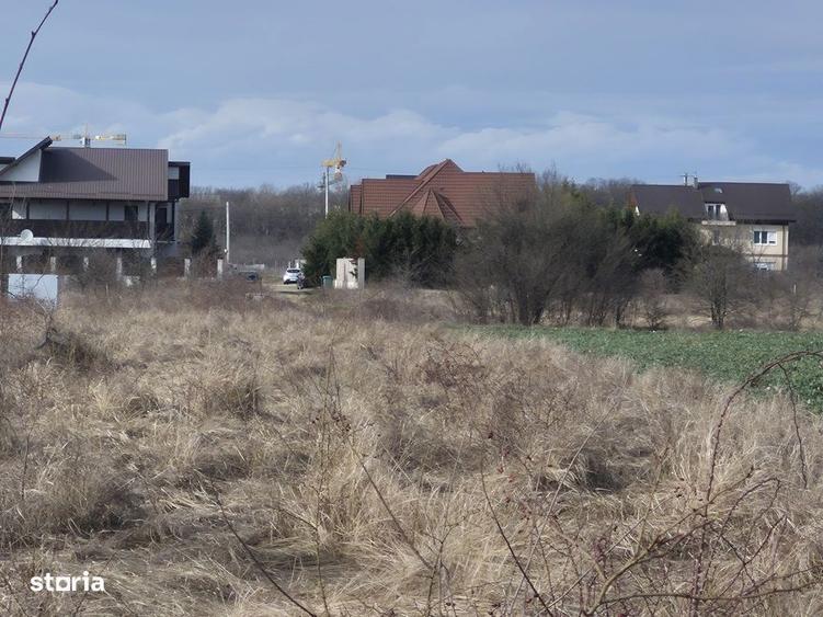 Teren cu gaz si electrica-hotar, 28000 E, padure - 3