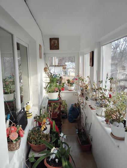 Casa si teren in natura (urgent) - 4