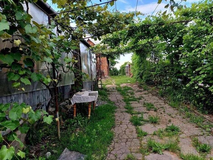 Sangeorgiu de Mures - Vanzare casa batraneasca - Str. Caminului - 4