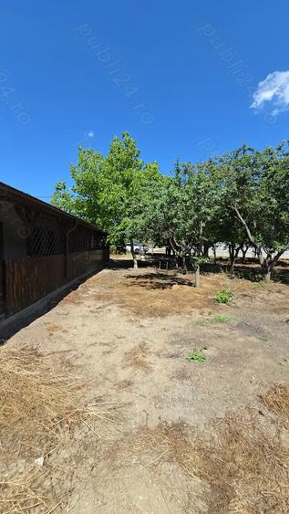 Casa la 28 km de Bucure?ti - 4