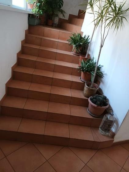 Vila la inchiriere in zona Unirii Mantuleasa - 3