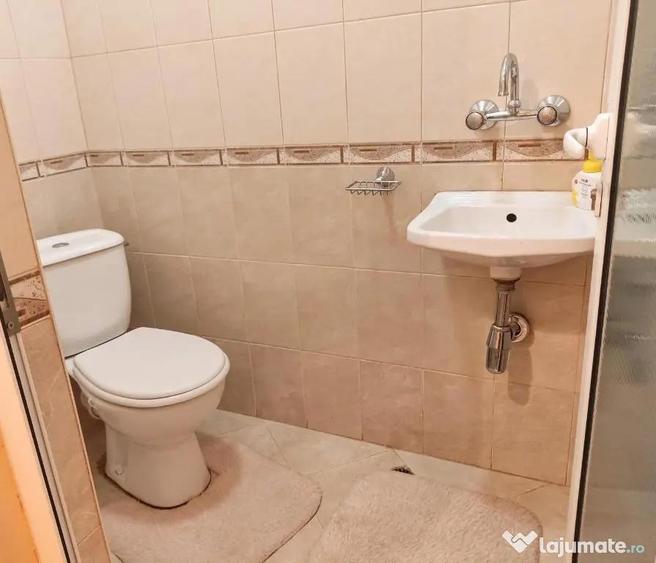 Apartament cu 2 camere de inchiriat zona Brancoveanu - 3