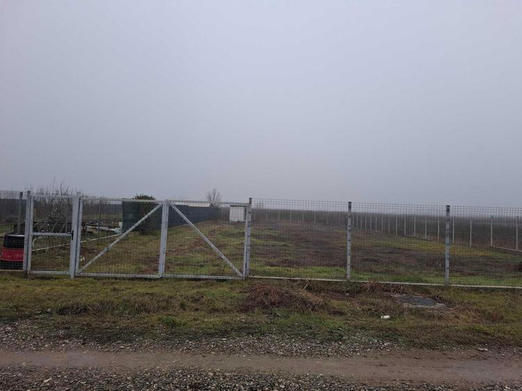 Vanzare teren 1000 mp Gradistea, Ilfov - 3
