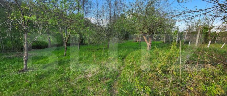 Teren 6650 mp, cu casa nefinalizata de 111 mp, in Nisipoasa - 13