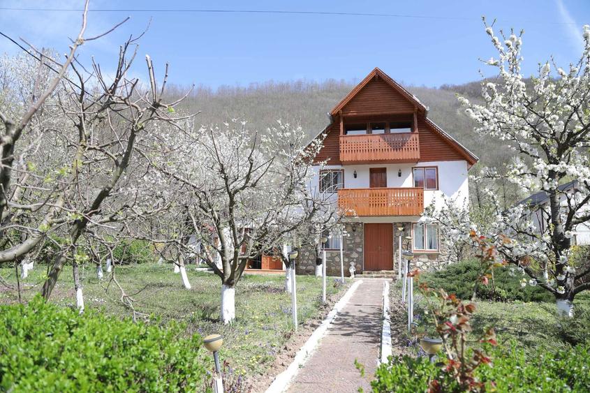 Cabana de vanzare 7 camere | Langa cetatile dacice Costesti si Blidaru | Judet Hunedoara - 1