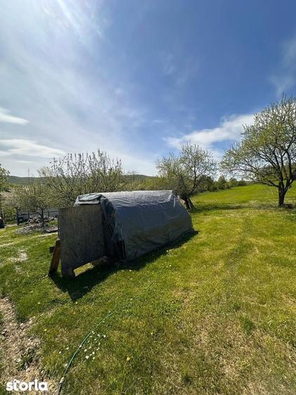 De vanzare casa ?i teren cu suprafata de 13.000mp, 52.000 euro - 15