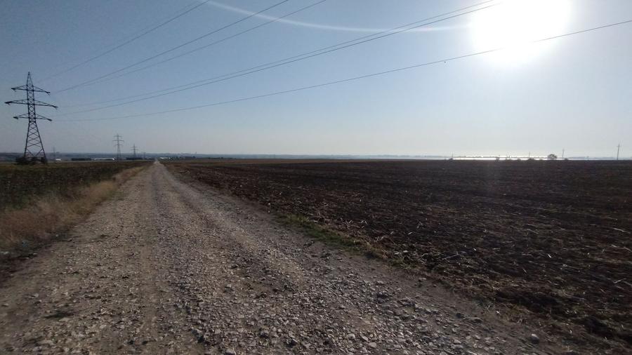 Teren pentru Parc Logistic, hale - Ovidiu - 8