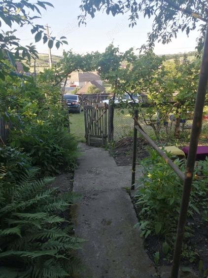 Vand casa + teren - 4