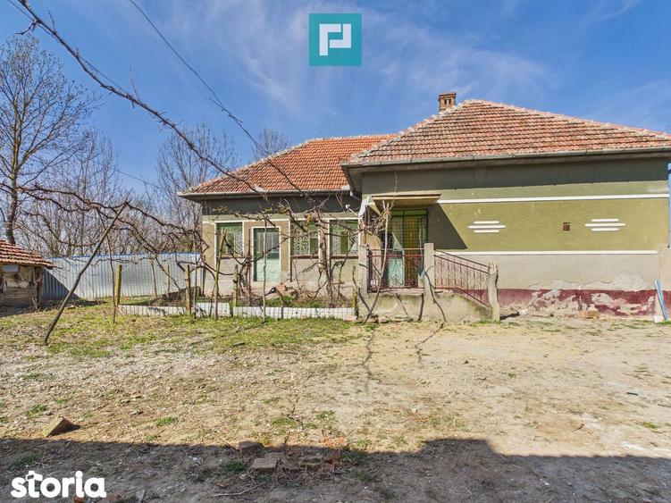 Casa cu teren de 6000 mp in Duboz, Timi? - 5