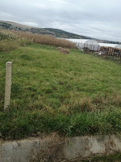 Vand teren intravilan ,Santana de Mures,1706mp,certificat de urbanism.(Cod 33F). - 6