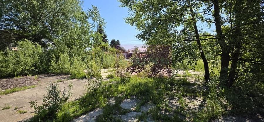 Teren intravila 40.679 mp in Campina, dezvoltare imobiliara - 1