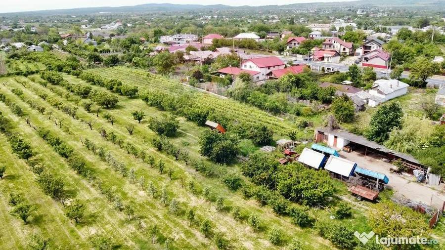 Teren de 540286 mp, în Urechești