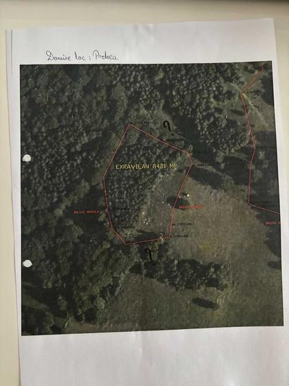 Teren de 155440 mp, în Luncani