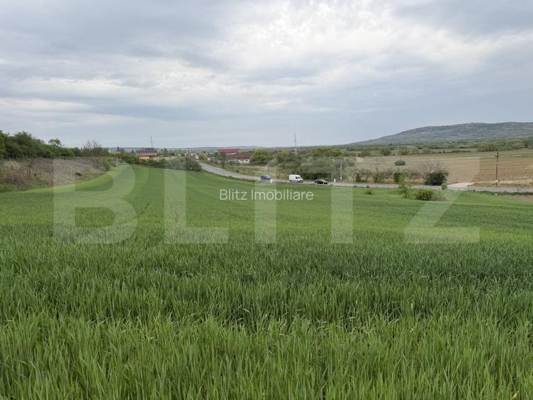 Teren intravilan, in localitatea Bobota in suprafata de 12.500 mp