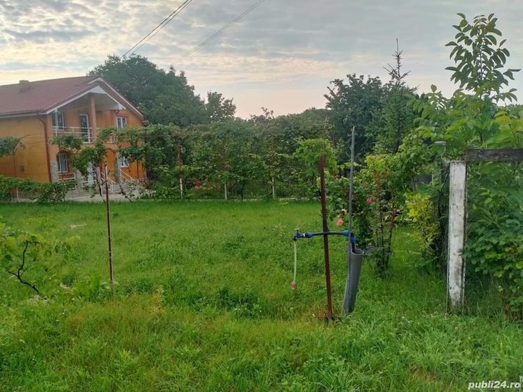 Teren în Central