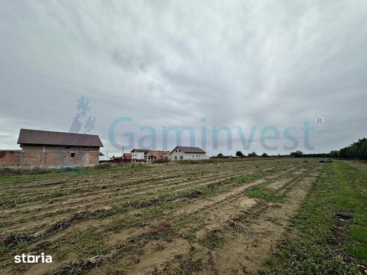 Teren de 11000 mp, în Biharia
