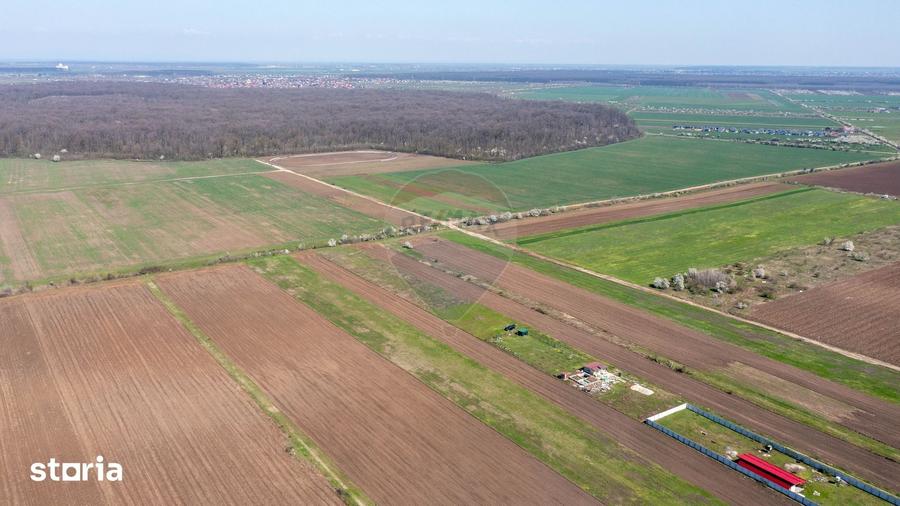Teren de 500 mp, în Săbăreni