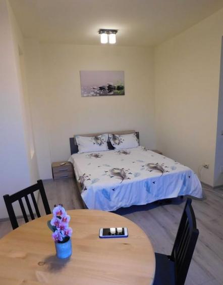 Garsoniera, decomandata, 35 mp, zona Gorjului - 1