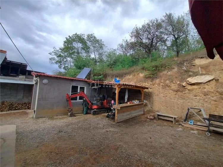 Petrosnita, Casa la Curte cu Garaj si Teren de 900 Mp - 2