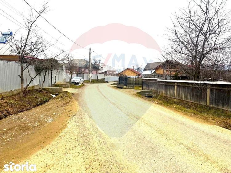 Casa 3 camere de vanzare Garleni, sat Lespezi, Str. Frunzei - 2