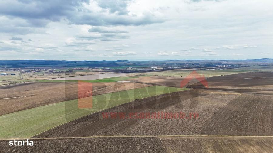 Ocazie | Teren 50.400 mp | Sura Mica | Investitie / dezvoltare |VIDEO - 3