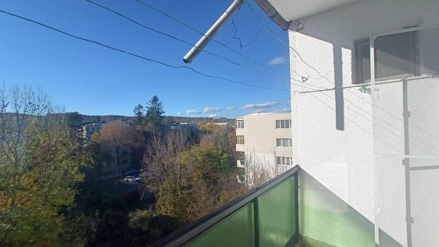 Apartament cu 2 dormitoare in Plopilor - 10