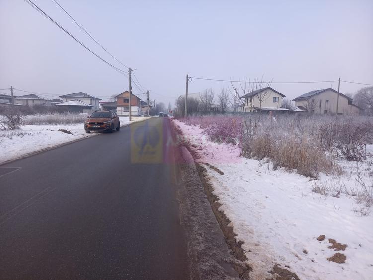 Teren Domnesti 12300 mp de vanzare sau asociere - 6