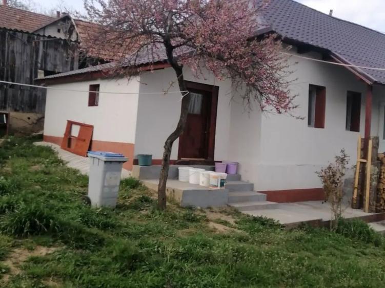 Casa renovata, 3 camere cu teren 900mp, pe E81, Floresti - 4