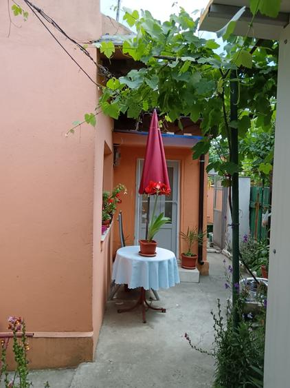 Casa cu 3 camere si 200 mp teren - Coiciu - 2