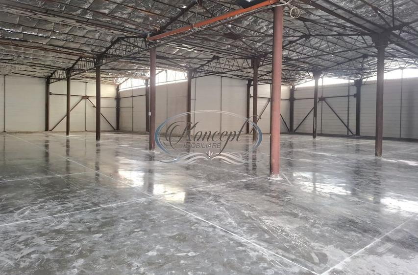 Hala ideala pentru productie sau logistica, pe Calea Baciului - 1