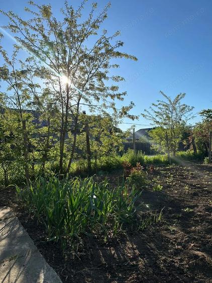 Direct proprietar: Casa demolabila + teren 1167 mp - 5