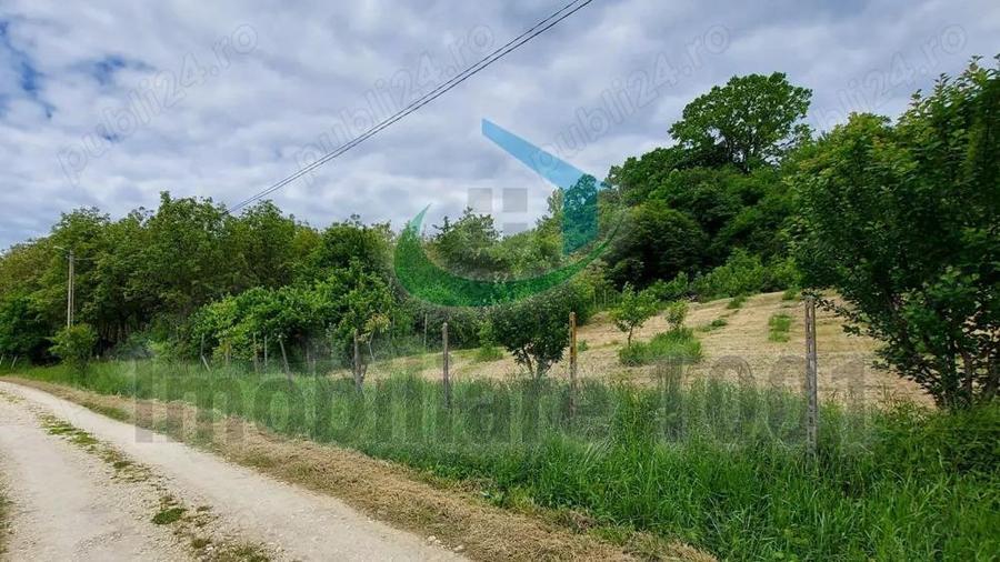 Teren intravilan 2510 mp, Livezilor, Somcuta Mare, zona cu potential de dezvoltare turistic - 2