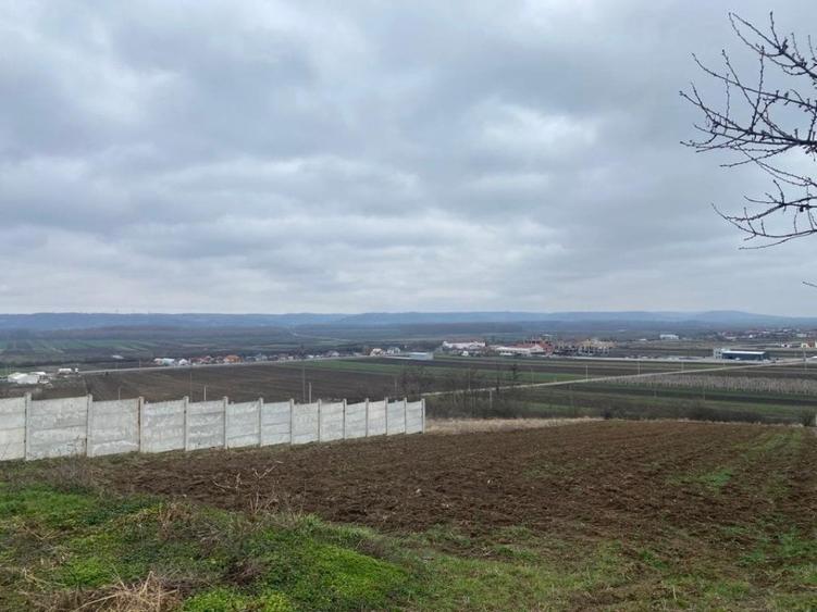 Comision 0%! Panorama superba, intravilan, 7631mp, front stradal 87m - 5