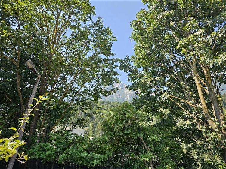 Vila cu vedere la Muntii Bucegi - 560 mpc si 963 mp teren - Zamora - 4