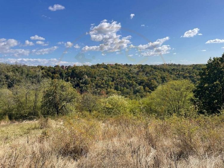 Teren Babana Arges - 8