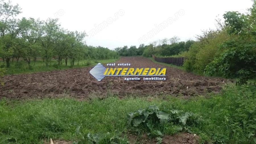 Teren intravilan de vanzare in zona Oarda cu utilitati - 1