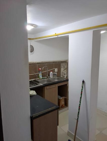 Colentina Parcul Plumbuita, Sector 2 București.  - 6