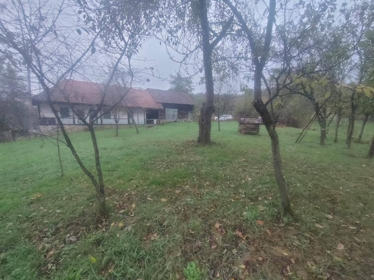 Casa de vanzare in Dobrot - 14