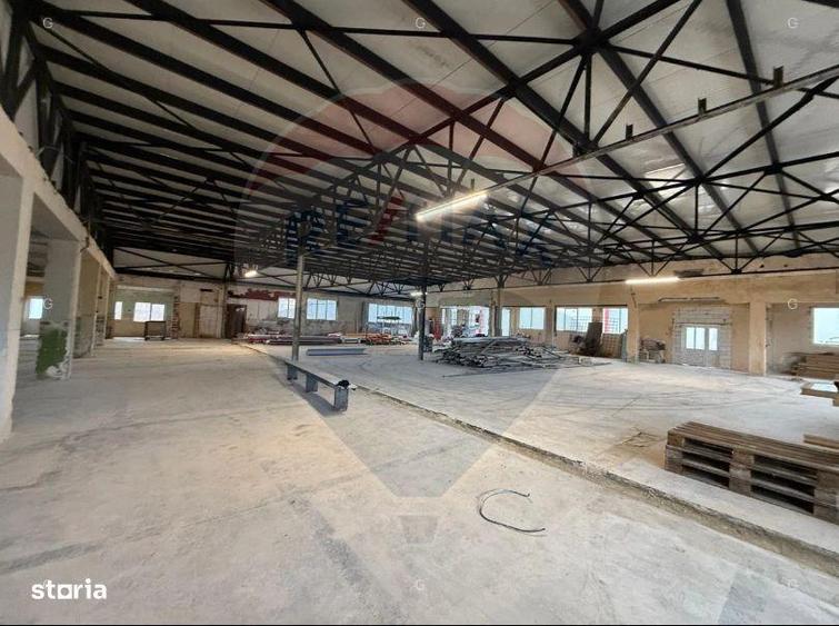 Spa?iu industrial in proximitatea DN1-Avrig-Inchiriere - 3