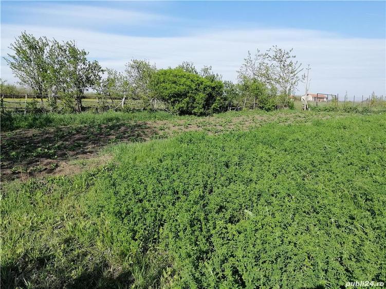 Vand Casa Clopodia - 6