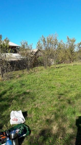 Teren intravilan în sat Făget, com. Drajna, Prahova - 2