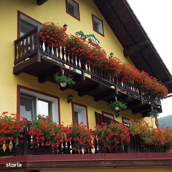 Pensiune 11 camere,Moieciu-Cheia - 6