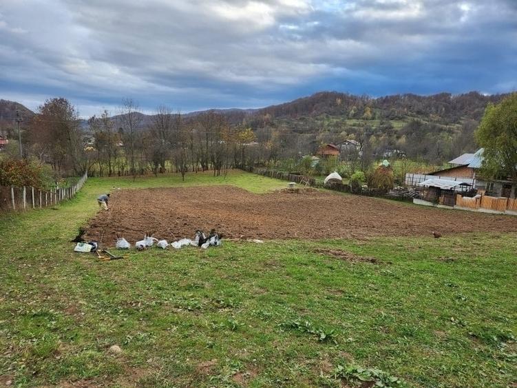 Teren vanzare in comuna Adunati - zona BREAZA - Prahova - 4